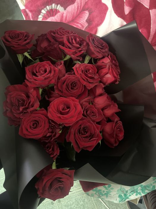 Роза 25 шт  договорная