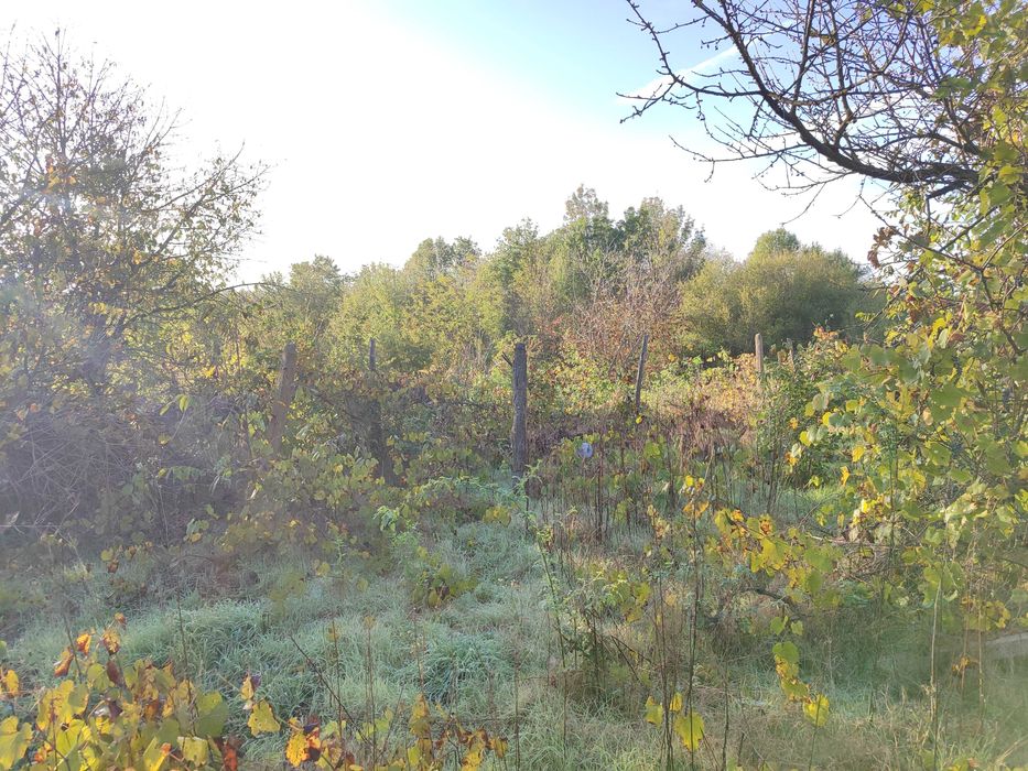 Продава се Парцел в Добрич, в.з. Лозята - 600 кв.м за 13 €/кв.м - Снимка #5