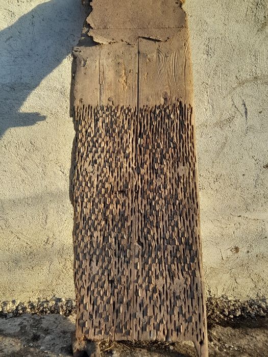 Диканя в автентичен вид