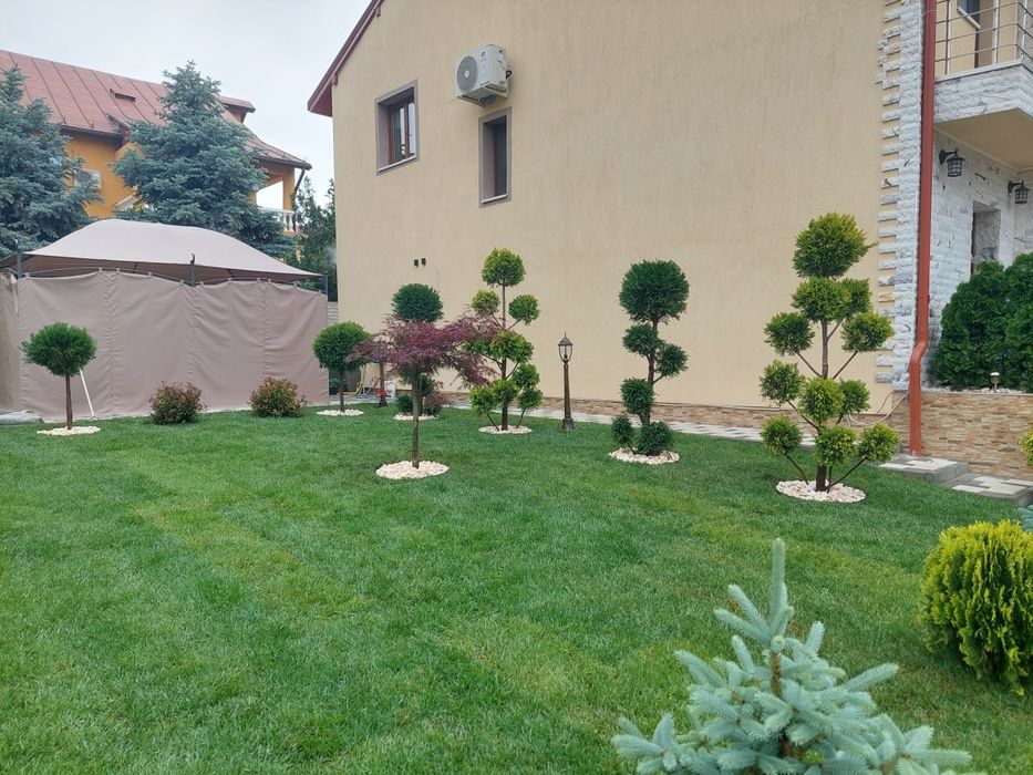 Amenajări grădini sisteme de irigare profesionale Plante ornamentale