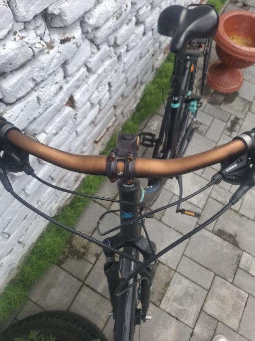 Bicicleta Pegasus
