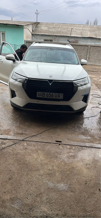 Венуция Стар 2022