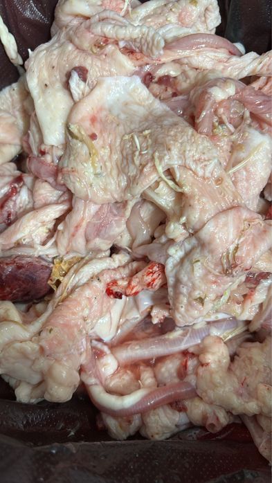 Обрезь куриная