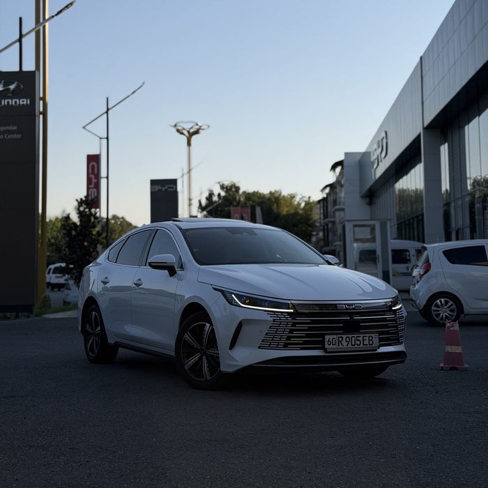 Byd chazor 120 Full