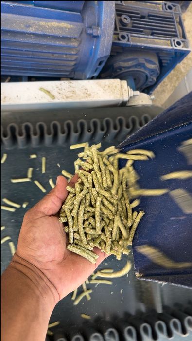 Комбикорм станок, гранула ва пеллет линиялари