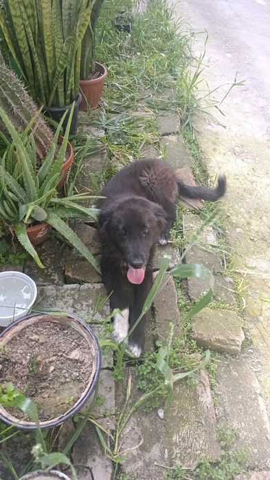 Девочка 4 месяца