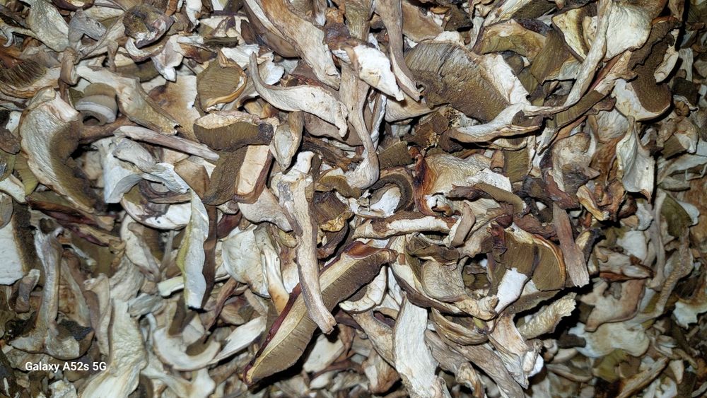 Hribi uscati cu grija