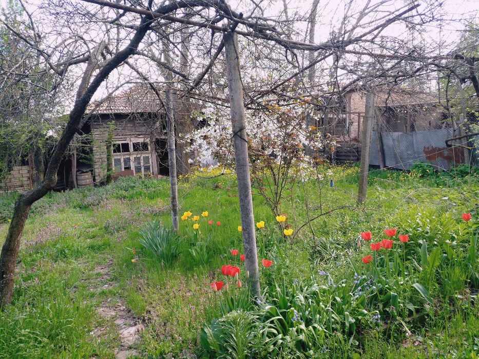 Продава се Къща в с. Славяново, Област Търговище - 100 кв.м за 128 €/кв.м - Снимка #5