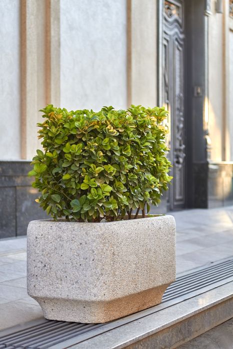 Ландшафтный дизайнер