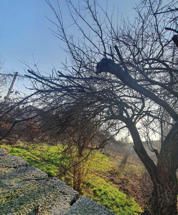 СВОЯ земля 6 соток с Кадастром. М Улугбек р-н за парком Нов Узбекистан