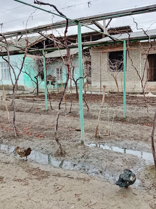 Indoutkalar sotiladi