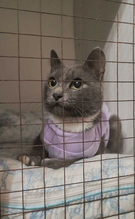 Нежная малышка ищет дом