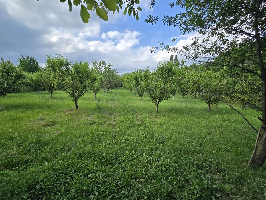 Продава се Парцел в Крън - 4000 кв.м за 19 €/кв.м - Снимка #4