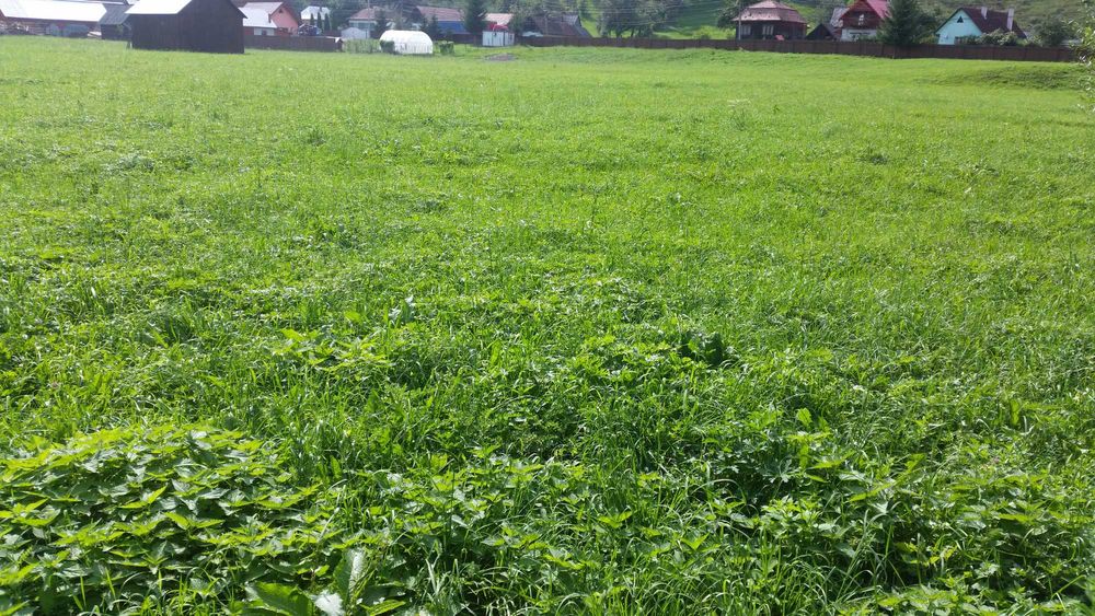 Vand teren  intravilan la munte