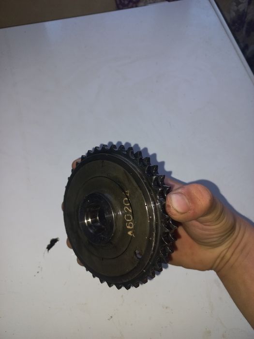 Vând  peșă  2.9  ¹