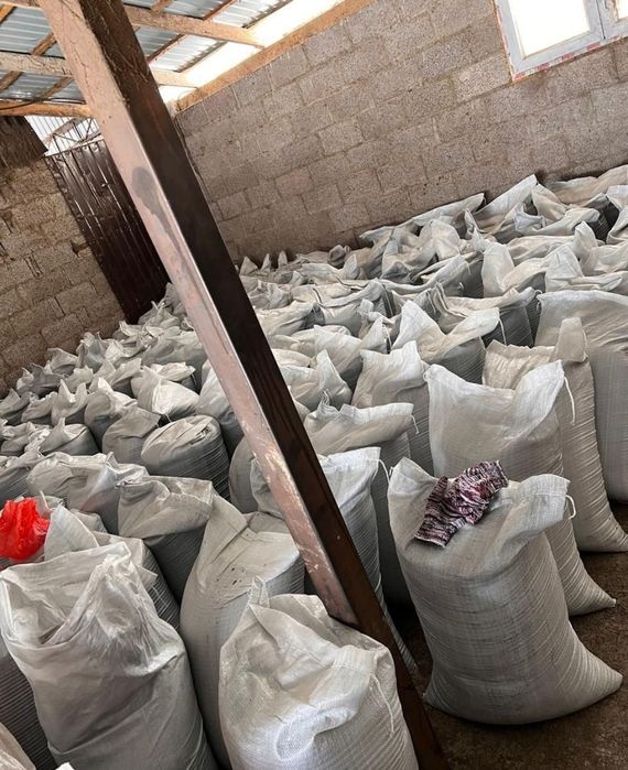 Семена люцерна Мерке