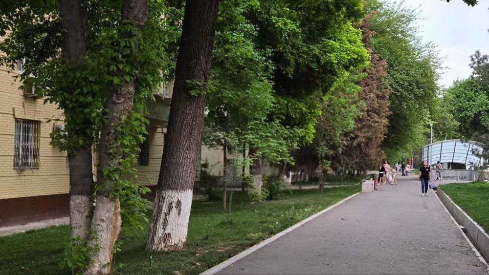 продам срочно мою в центре Ташкента 2/3/3 Яккасарай  Метро Космонавтов