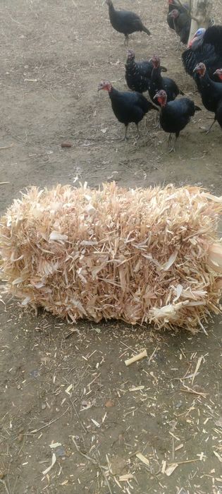 Johori press sotiladi mayin yaqshi boylangan quruq