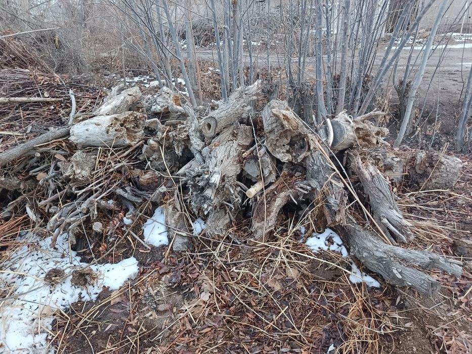 Oʻtin sotiladi 1.500ming