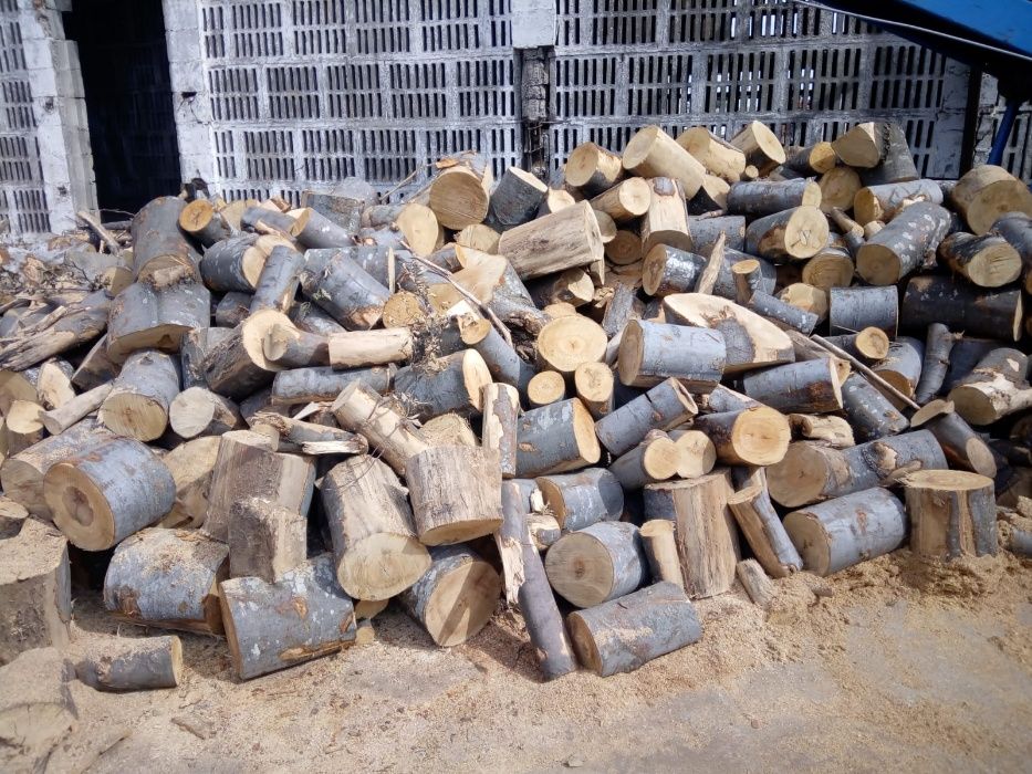 Vand lemne de foc fag paletizat/ brichete de rumegus si peleti