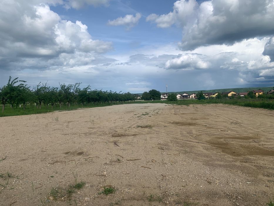 Loturi casa  Maracineni Argeselul
