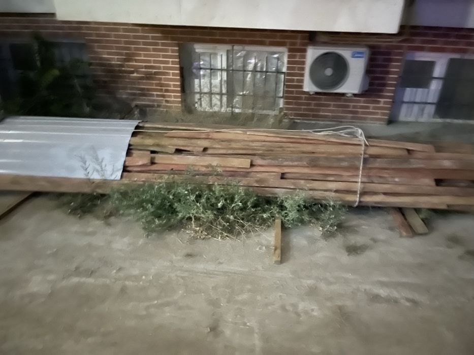 Агаш агаш агаш агаш