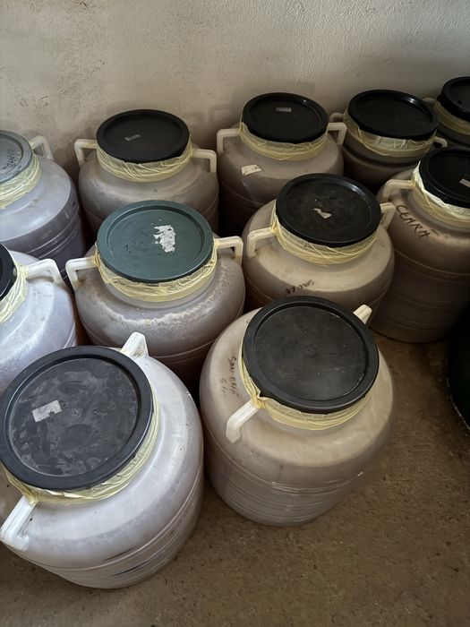 Miere polifolră engros