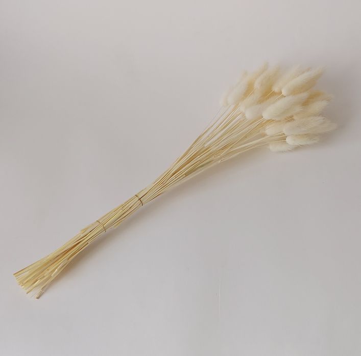 Колосья для интерьера. Сухоцветы.