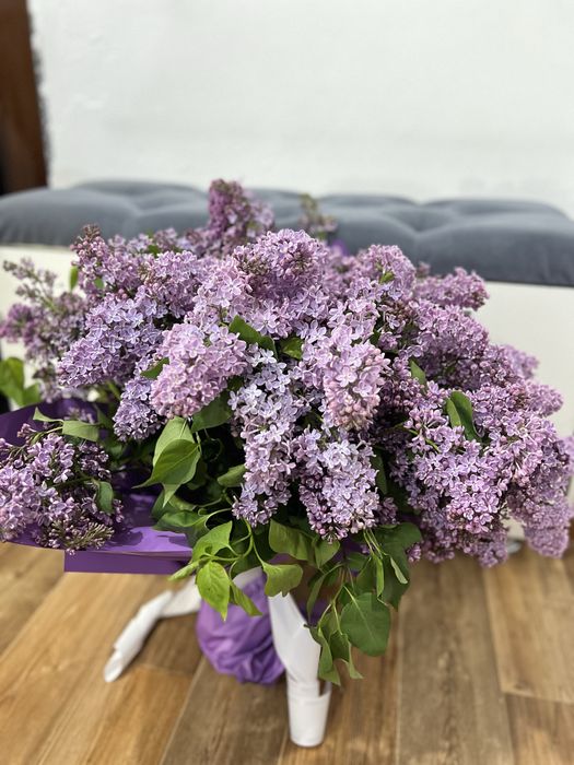 Цветы сирень продается