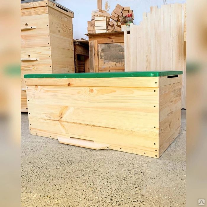 Asalari yashshiklar Rasiskiy sasna taxtadan