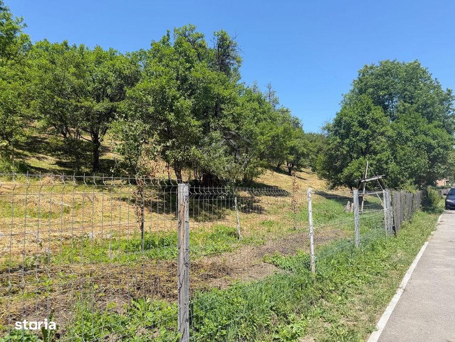 Teren Valea Doftanei, Tesila, utilitati la strada, padure in spate