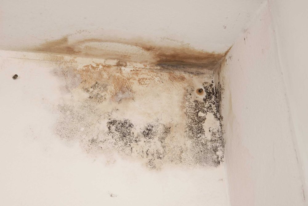 STERYLSAN – это дезинфицирующий состав высокого качества под обои