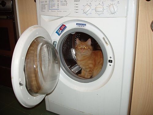 Ремонт стиральных машин автомат