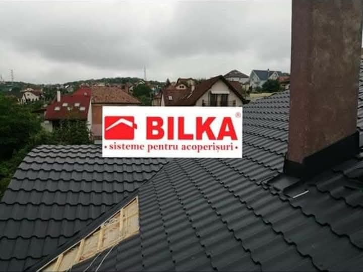 Acoperisuri si reparatii