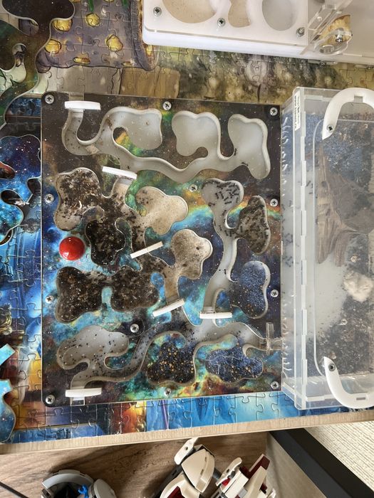 Муравейник диаметром 20x25.