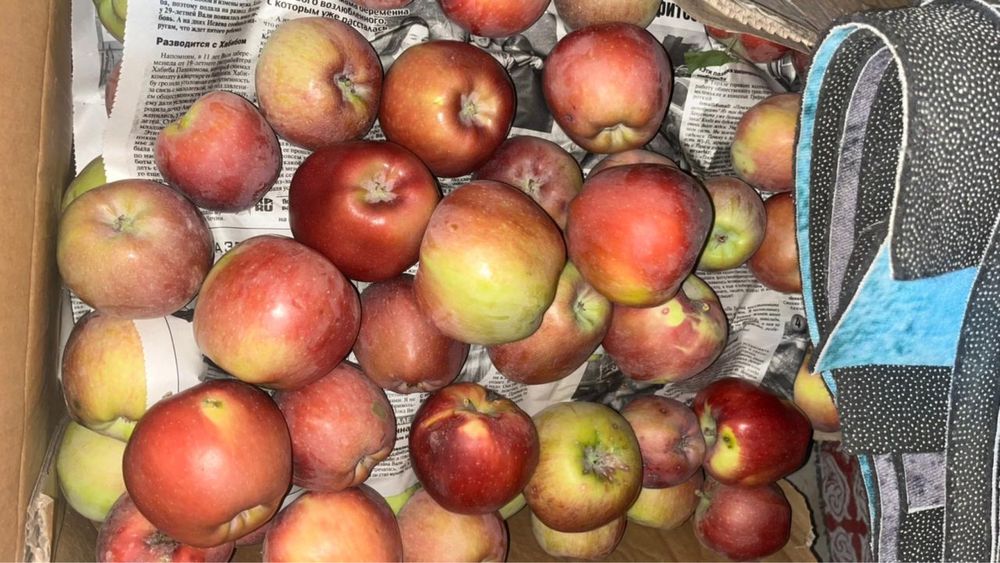 Яблоко домашнее сочное