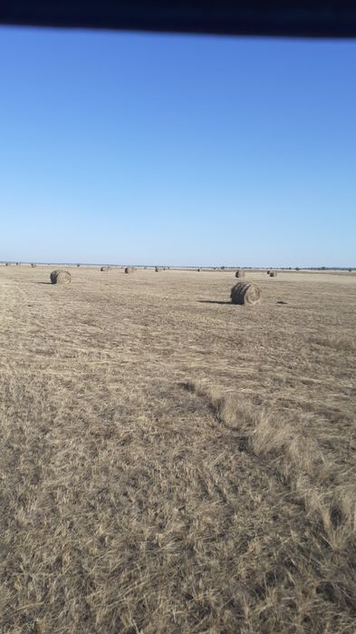 Сено в руллонах!