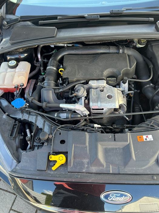 Ford focus  1.0 benzina  2016