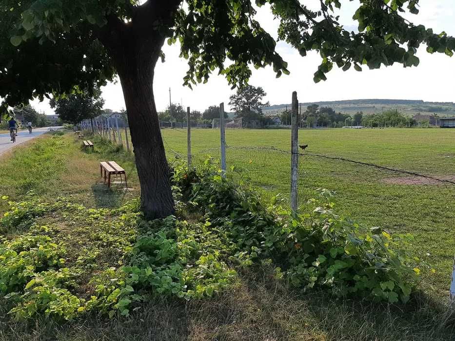 Ter. intravilan 871 mp, lângă Slatina, asfalt/utilități, zonă liniștit