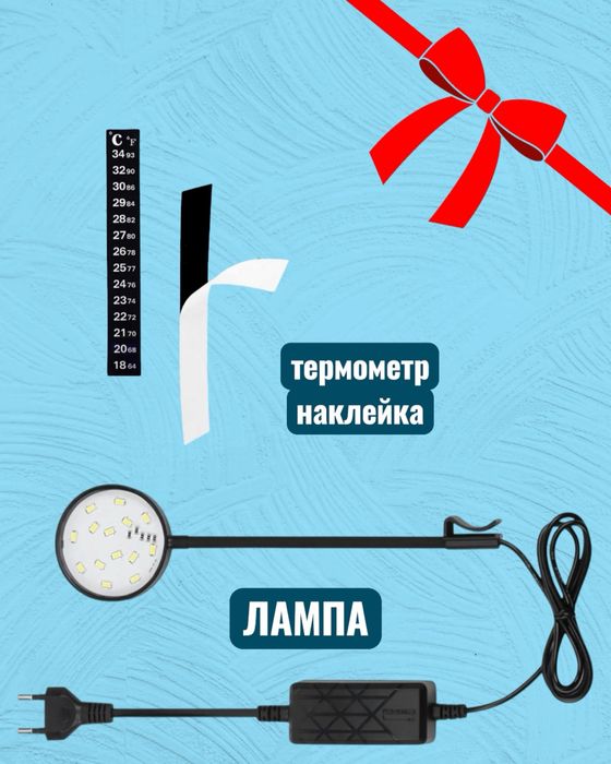 Аквариум шар 10л для петушка