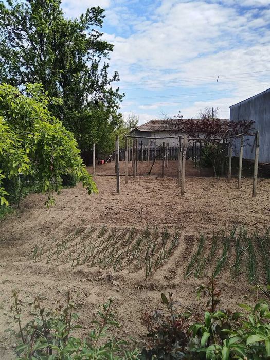 CASA DE VANZARE!Casa Viile Ion Corvin!