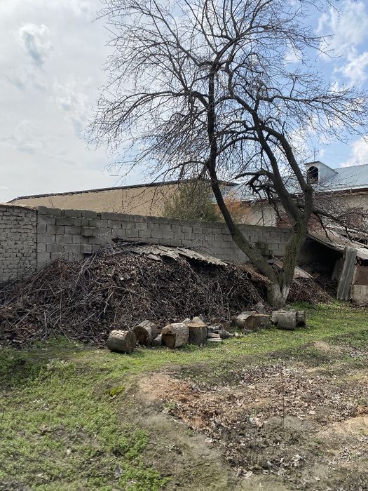 O’tin quruq bor 2 Traktor hajmiga teng Srochna sotiladiv