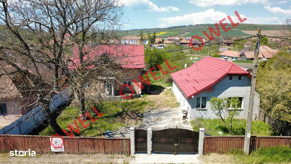 Proprietate de vânzare formată din două case, în Moacșa!
