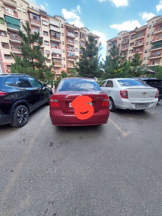 Nexia3 bardoviy