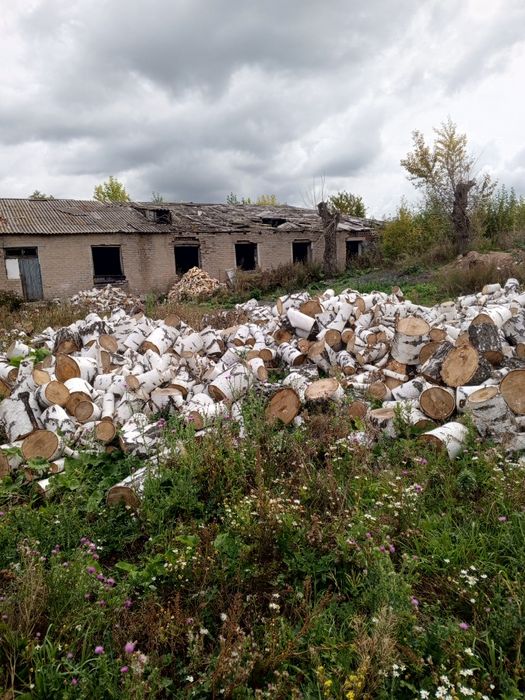 Продам дрова берёза!!!