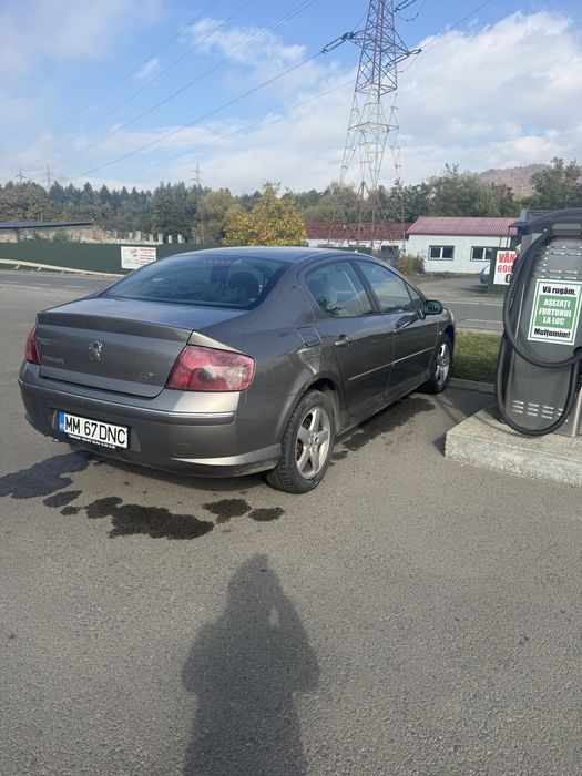 PEUGEOT 407 2007 — imagine 2