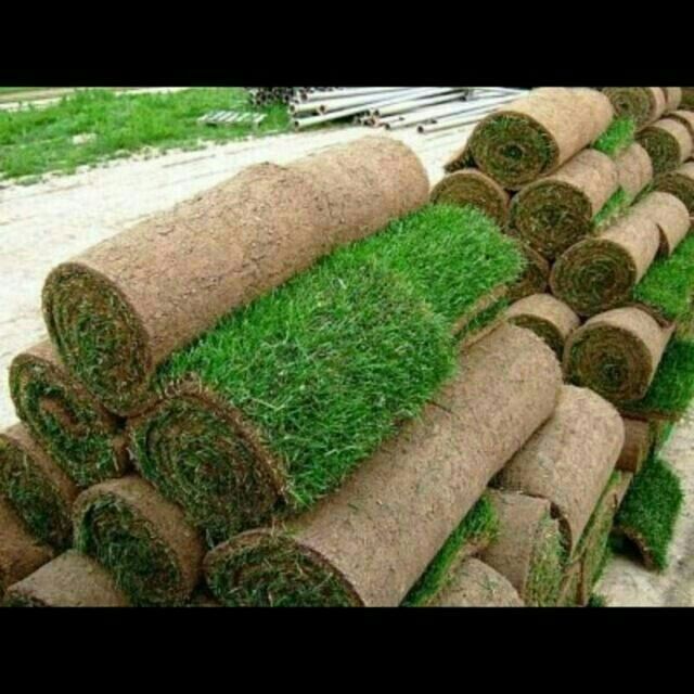 Gazon
Daraxtlar !
Va boshqa hizmatlar !
Ajoyib dizayn siz