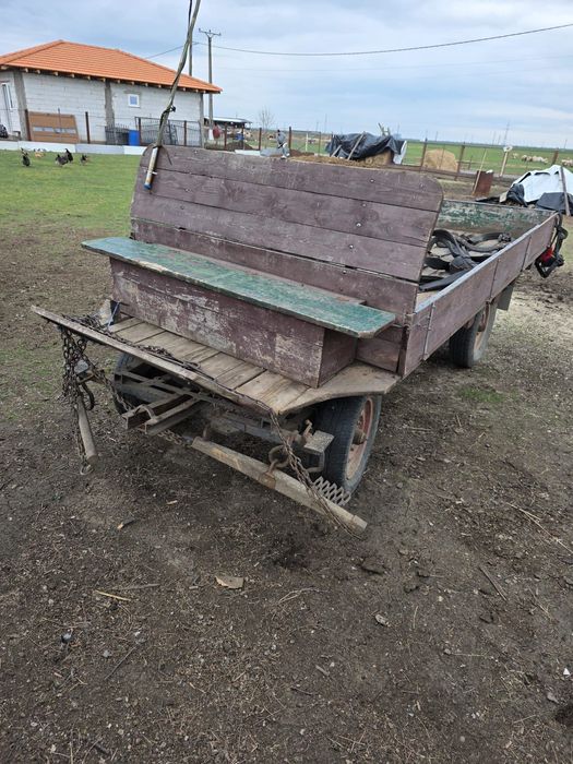 Iepe de vânzare,cu căruța și hamuri