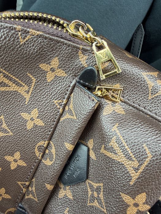 Louis Vuitton  Palm Spring Backpakt mini monogram