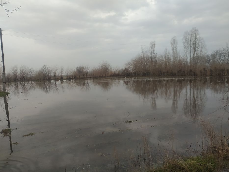 Hovli yermaydoni bilan